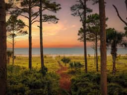 Sea Pines Oceanfront Estate • 6BR, Heated Pool & Spa, Elevator, Direct Beach Access - Image 3